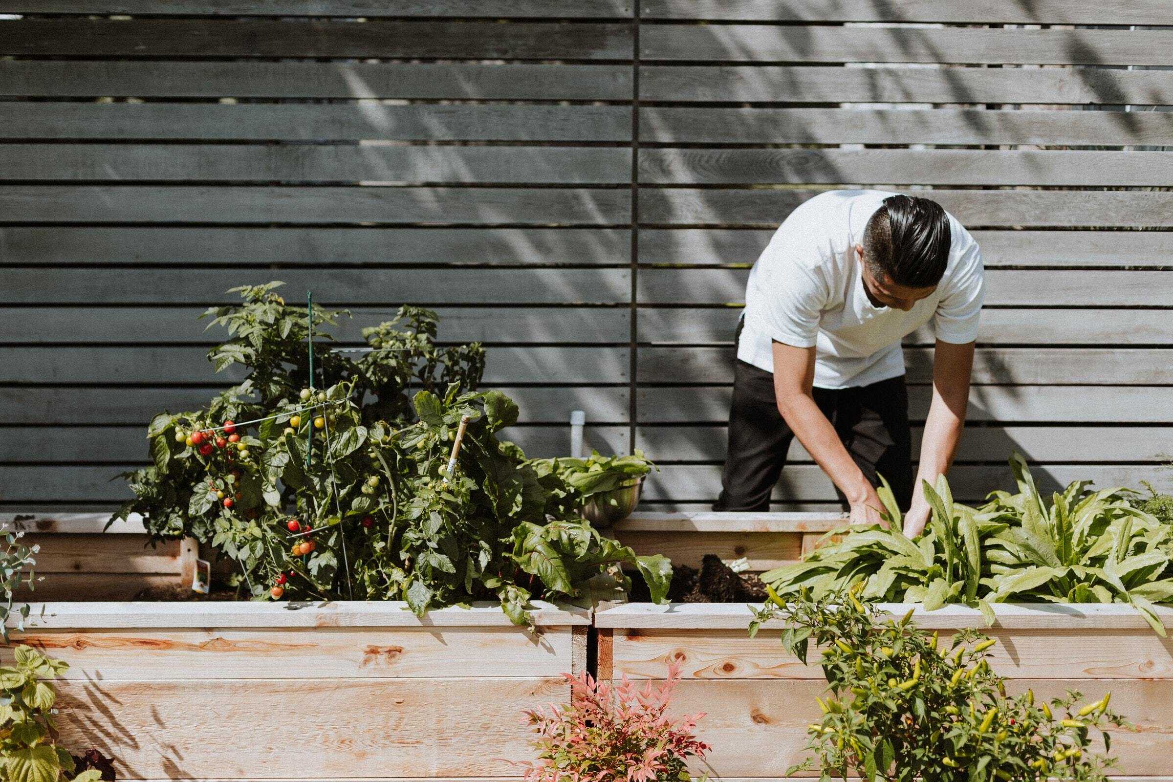 Gardening